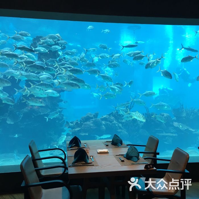 天房洲际度假酒店-海底餐厅 涛餐厅图片 - 第1张