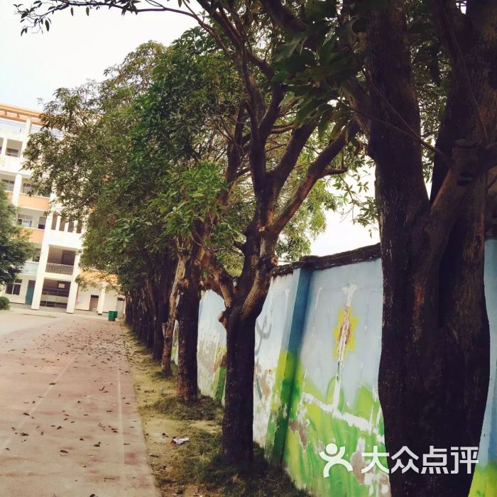 畅林小学-图片-莆田学习培训-大众点评网