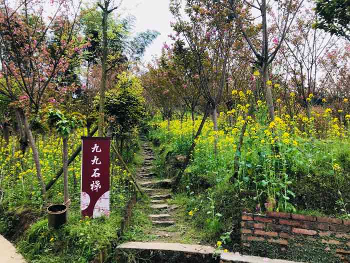 三郎镇樱缘谷"对于喜欢原生态的地方,樱缘谷非常适合.