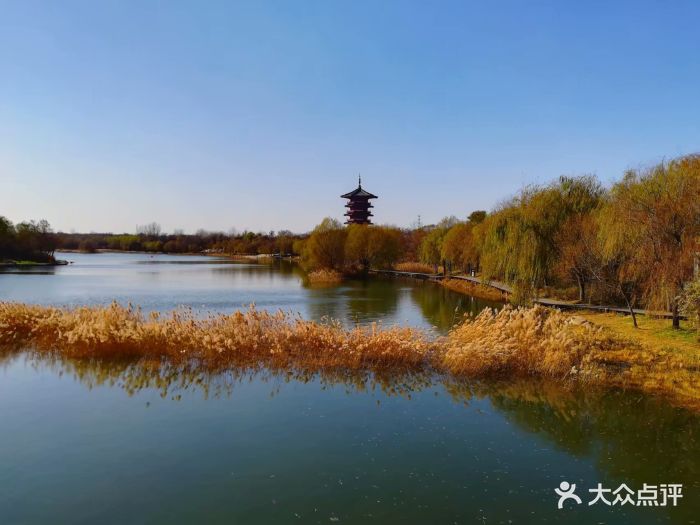 白浪绿洲湿地公园图片