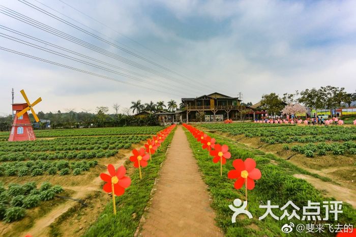 高明盈香生态园-图片-佛山休闲娱乐-大众点评网