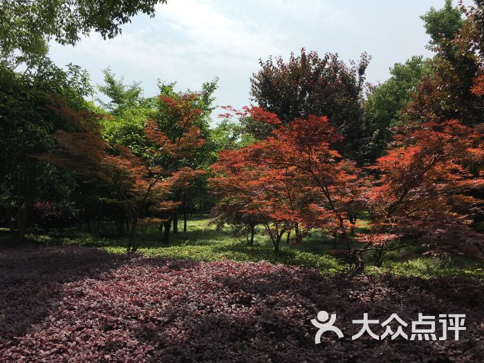 太湖明园茶膳舫餐厅(管社山庄公园店)图片 第32张