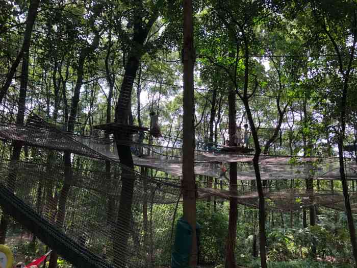 重庆飞越丛林探险乐园(歌乐山园区)-"#飞越丛林探险