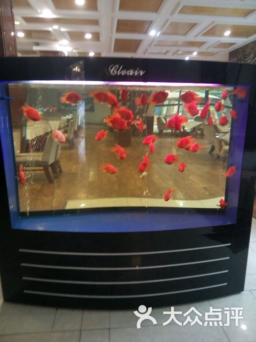 威尼斯庄园-图片-自贡美食