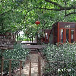 【绿园冯唐】美食,时间,地址,v美食电话(图)-海肉价格餵天下图片