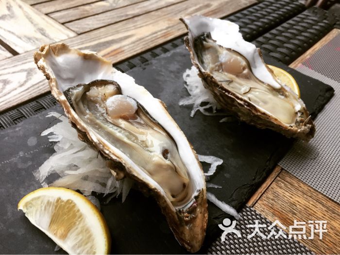 牡蛎oyster