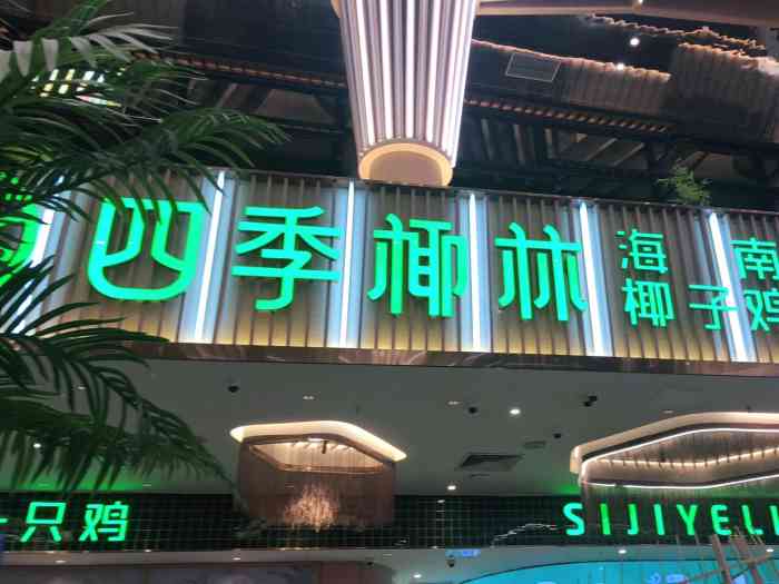 四季椰林椰子鸡(龙岗万科广场店)