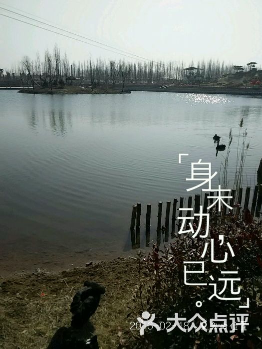 龙园休闲度假农庄游乐园-图片-临沂休闲娱乐