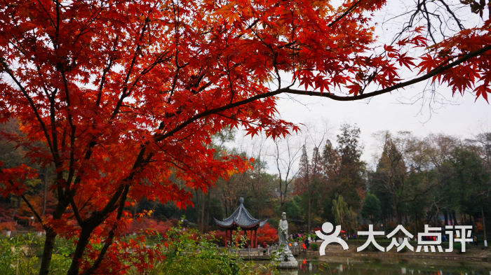 栖霞山名胜风景区图片 - 第3669张