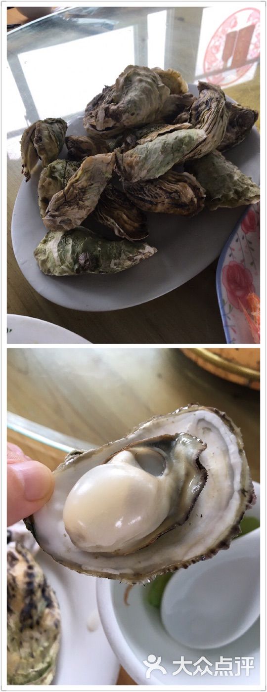 生蚝
