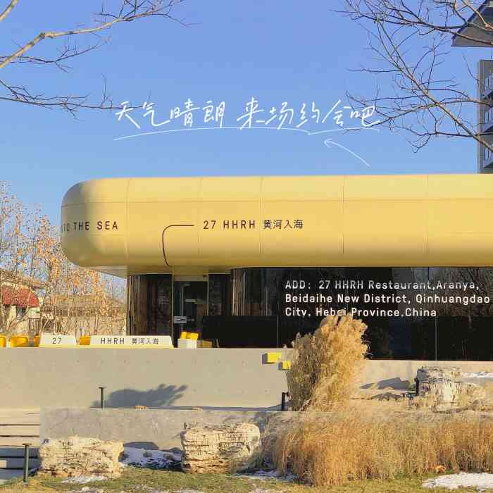 北27号·黄河入海-"大晚上在阿那亚寻食,基本都关了,网上搜,.