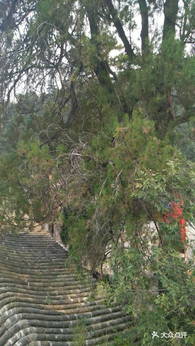 烈女祠-图片-盂县周边游-大众点评网