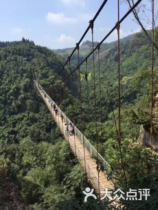 川西竹海峡谷自然景区(金鸡谷)图片 第5张