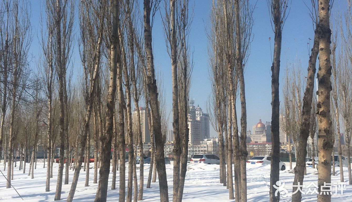 春天的脚步早已光临了但在哈尔滨市没有感觉到