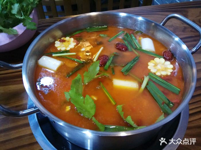 小胡子苗家酸辣火锅酸汤锅底图片 第75张