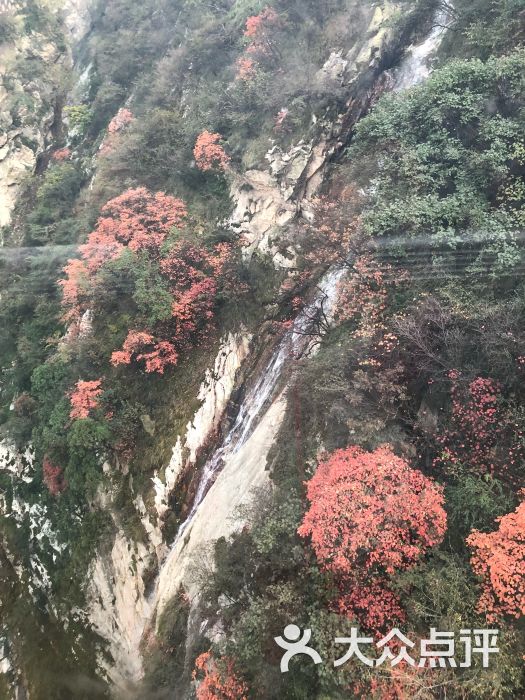 太平万花山景区图片 - 第38张