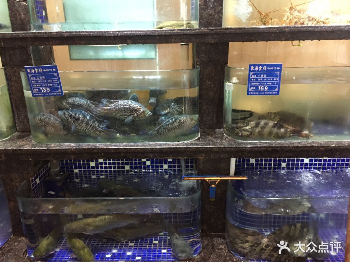 东海食府(千佛山店)-图片-济南美食-大众点评网