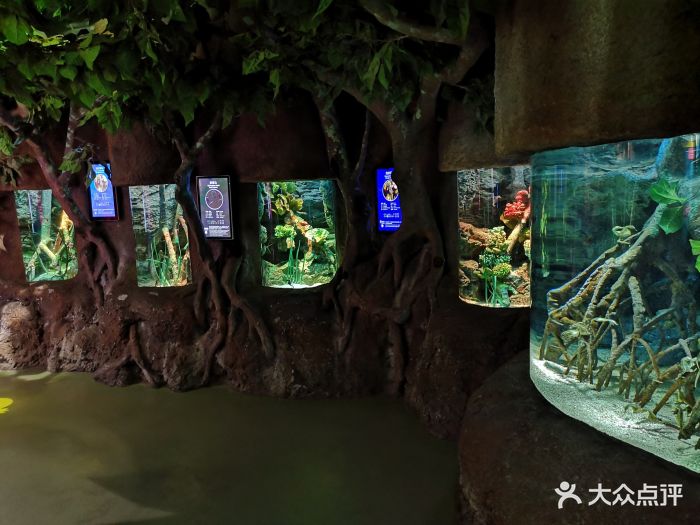 上海长风海洋世界海马区域图片