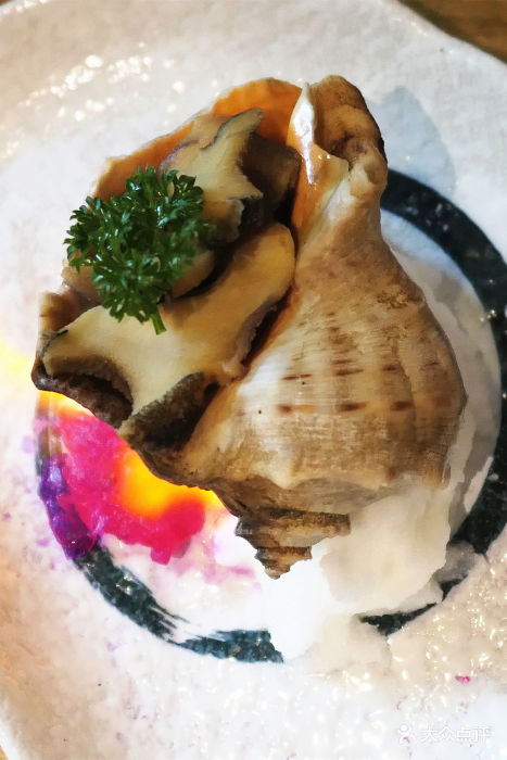 活海螺壶烧