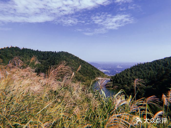 黑麋峰森林公园图片 - 第4张