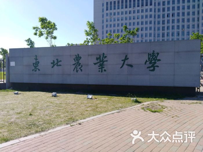 东北农业大学图片 - 第6张