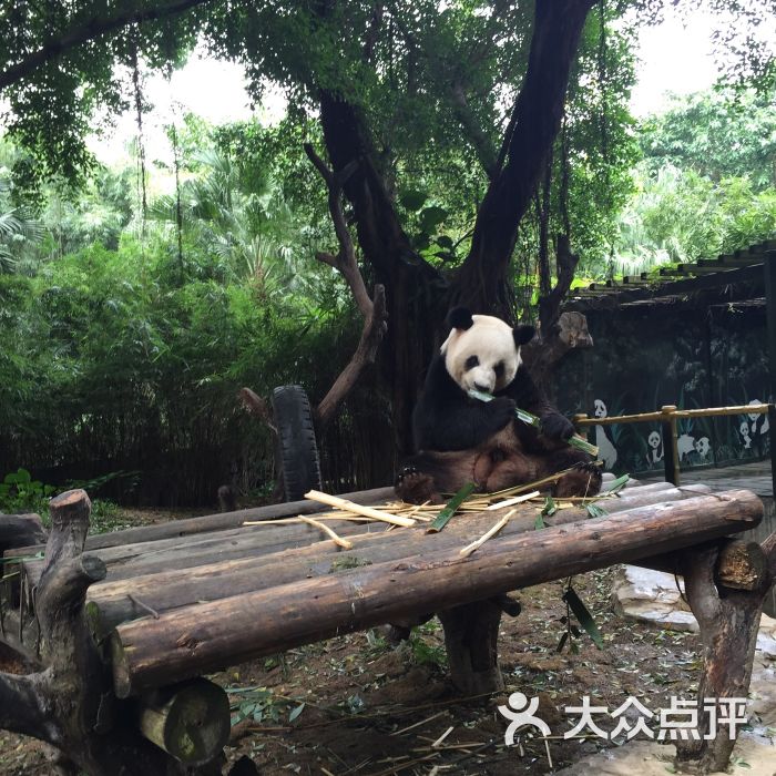 广州酷旅旅行社有限公司-图片-广州生活服务