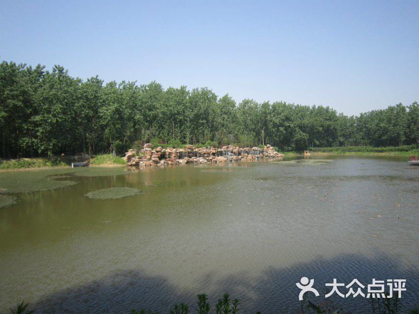 滨湖湿地森林公园-图片-合肥周边游-大众点评网