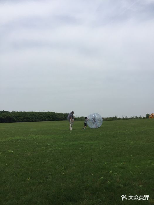 参加了迪士尼生态园公益跑的活动,地铁到迪.
