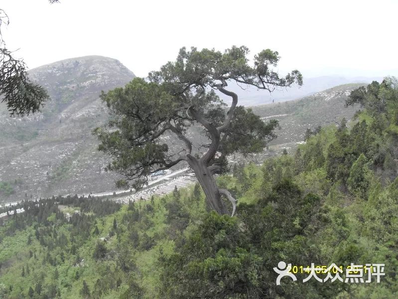 张果老山风景区-图片-邢台县周边游-大众点评网