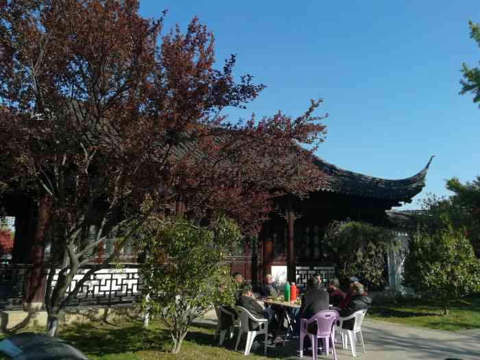 桐泾公园茶室-"公园里的茶室,周末喝喝茶,晒晒太阳挺好的.