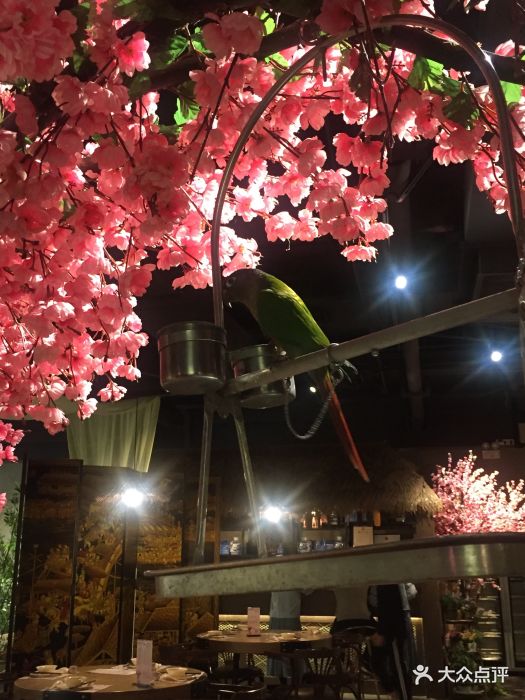 桃花醉(万达店)图片