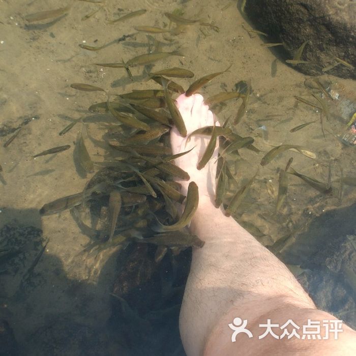 久温塘冷泉图片-北京自然风光-大众点评网