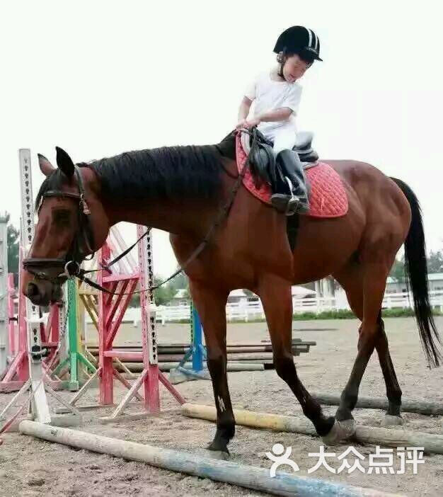 mamie李上传的图片