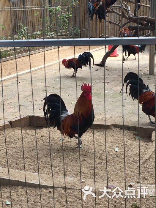 酷跳蹦床主题公园(龙华店)-图片-深圳休闲娱乐