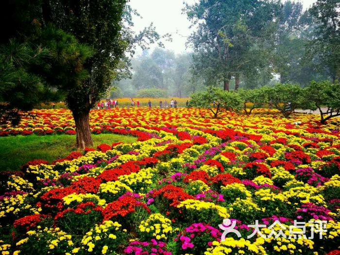 北京植物园图片 - 第5540张
