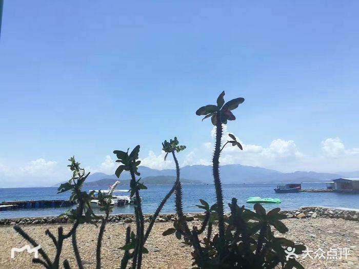 “竹岛”的全部点评 - 芽庄景点