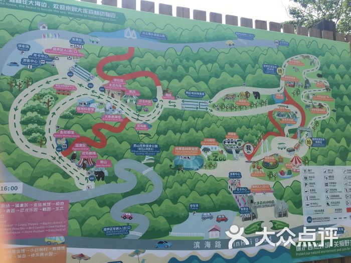 大连森林动物园图片 - 第2张