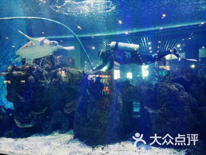 鎏嘉码头图片 - 第14张