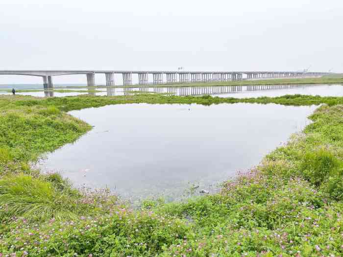 府河湿地-"[强]说到湿地,武汉市有好几处湿地公园,.