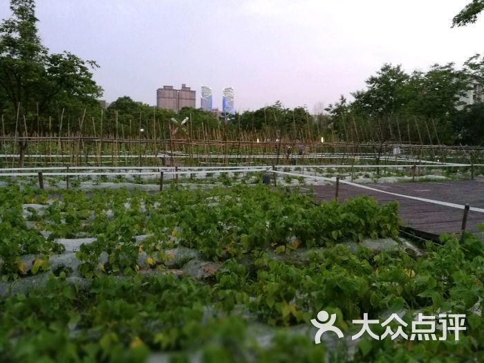 长岛公园图片 - 第1张