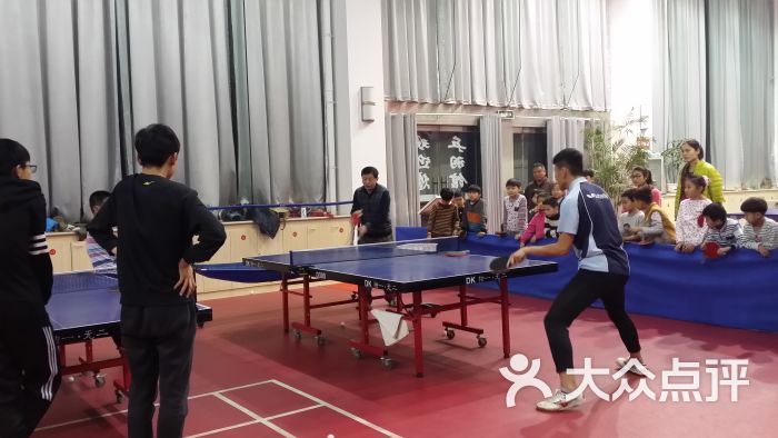 枣庄市乒乓球训练基地图片 第2张