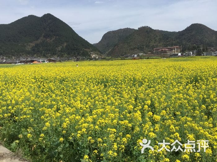 金海雪山-图片-贵定县周边游-大众点评网