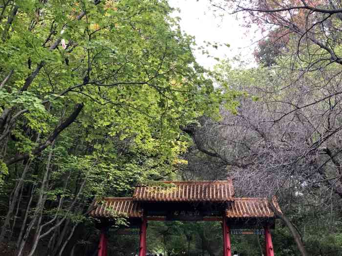 龙潭山公园-"作为吉林市的四大名山,龙潭山有着悠久的