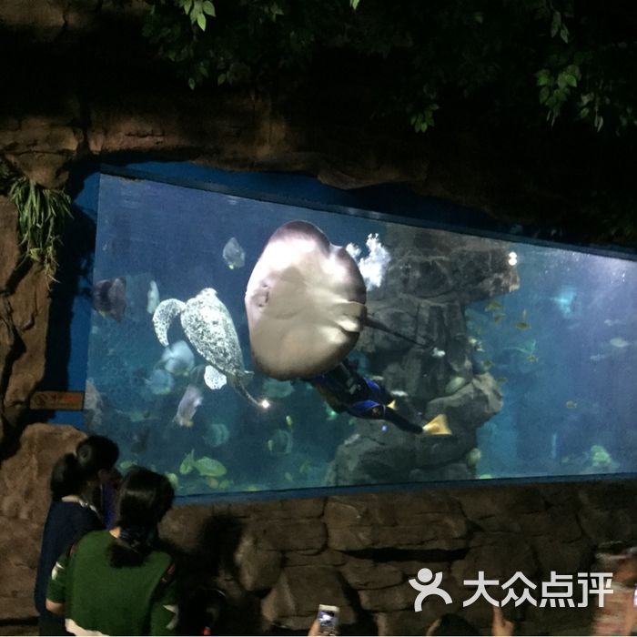 蠡湖中央公园海底世界