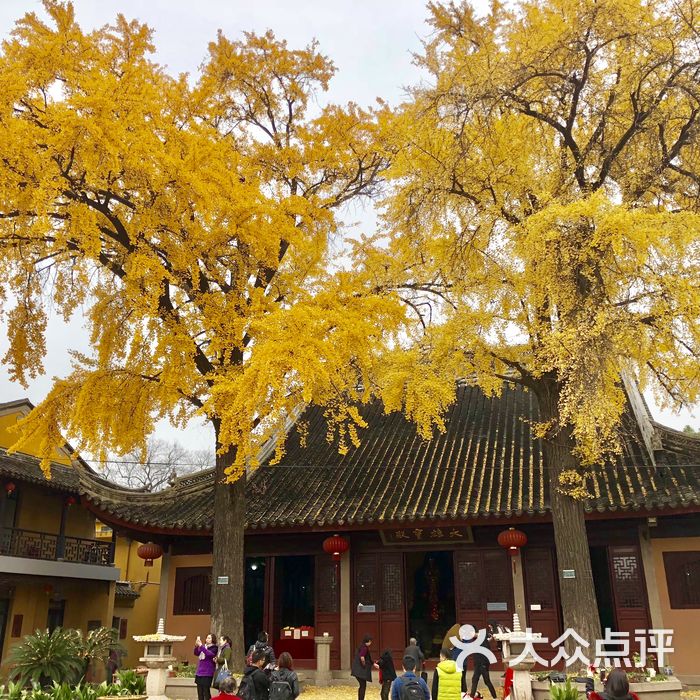 定慧寺图片-北京名胜古迹-大众点评网