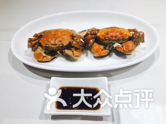 粤菜排名_广东菜粤菜排名图片