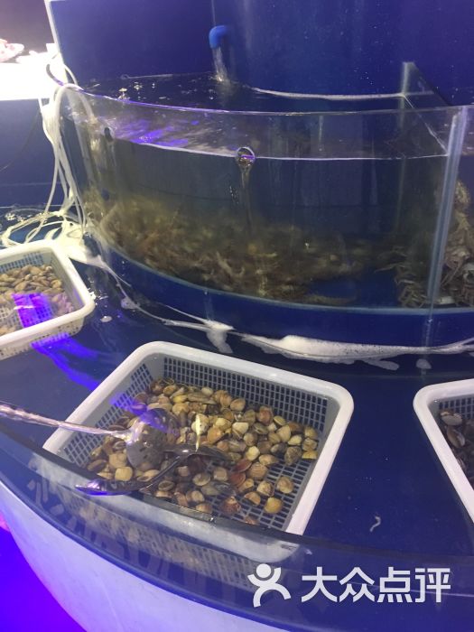 解放碑跨年_解放碑好又来酸辣粉_解放碑海鲜自助餐
