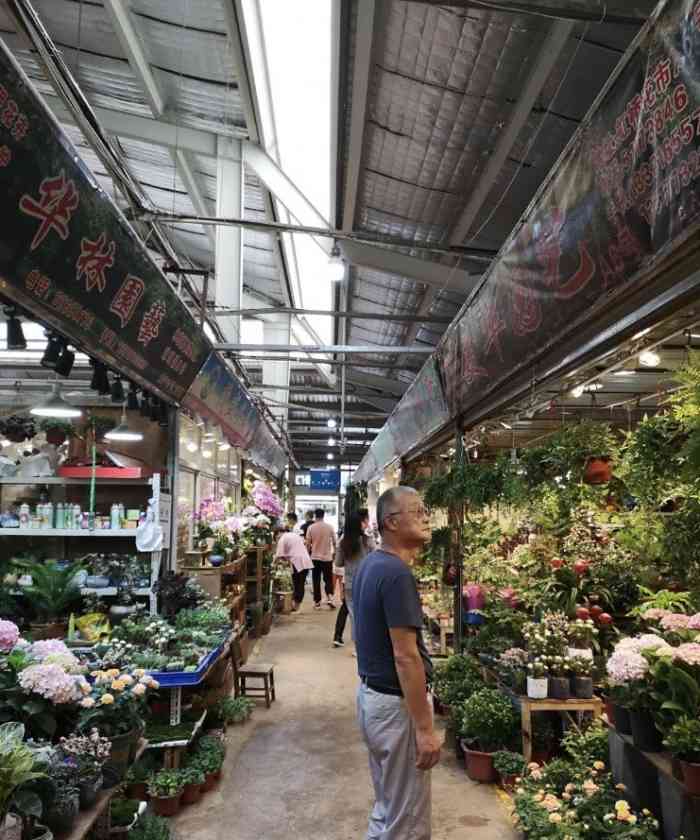 上海虹桥花卉市场(虹井路店)