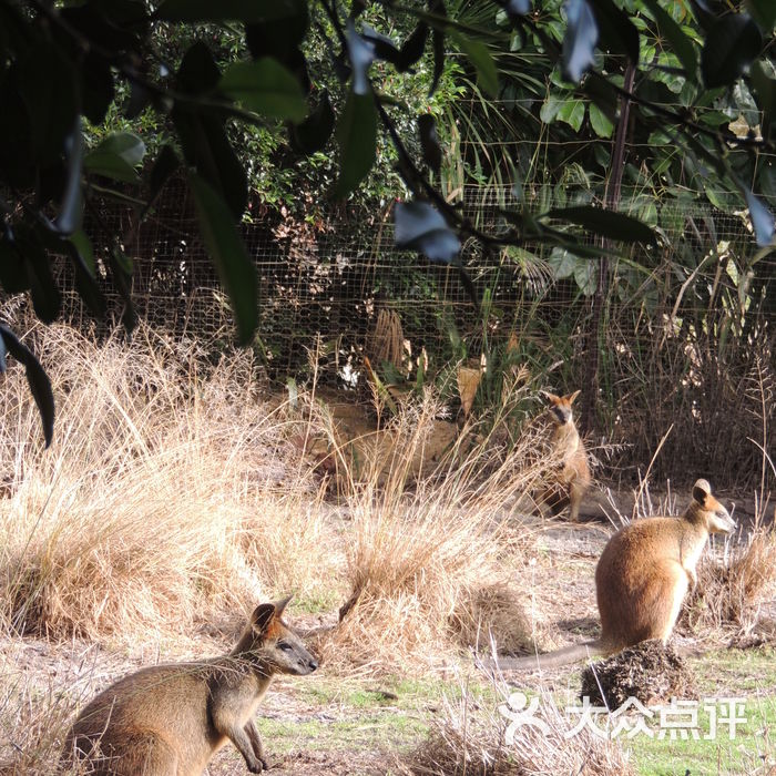 caversham wildlife park