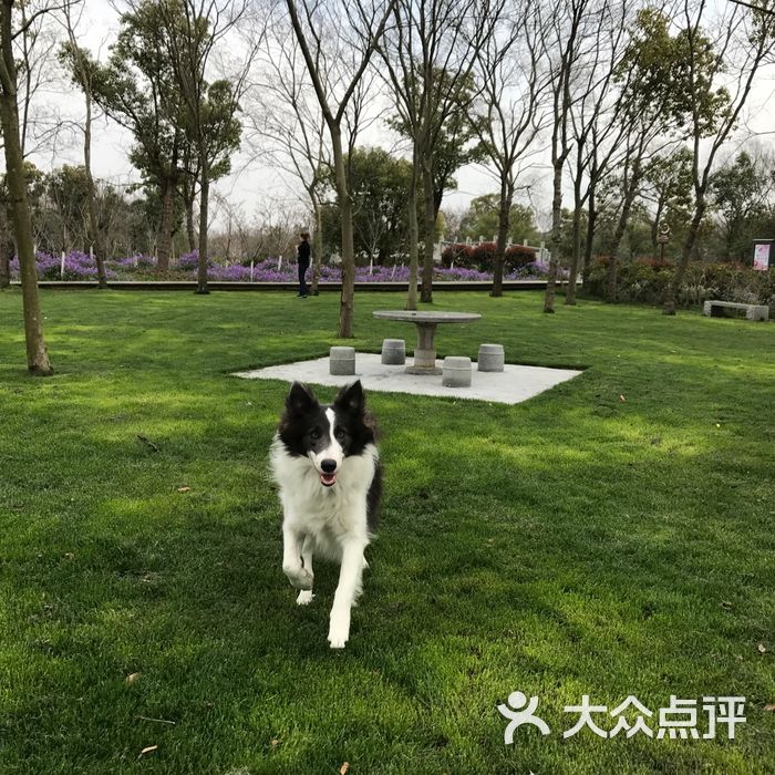 上海海湾国家森林公园